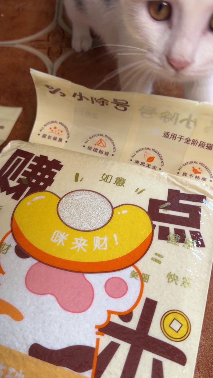 小米款现售包装与猫咪，真实视频截图